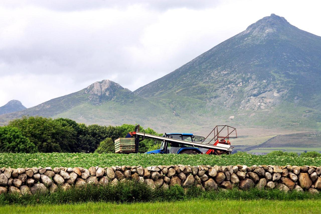 Ballykeel Farm, Mourne Mountains Ballymartin Ngoại thất bức ảnh